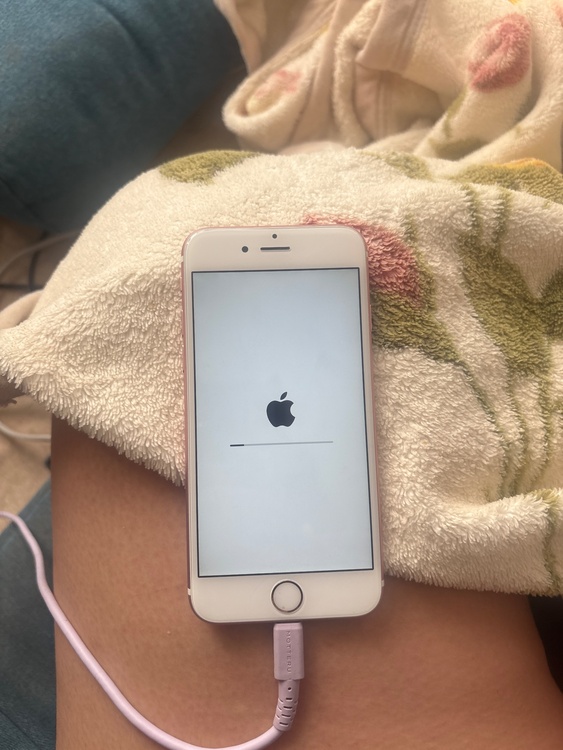 iPhone iPhone SE (第 2 世代) 64GB SIMフリー（スマホ）の商品画像 - 査定依頼日：2026年6月12日 - 最高査定価格：8,000円
