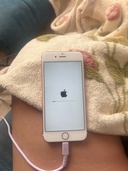 iPhone iPhone SE (第 2 世代) 64GB SIMフリー（スマホ）の商品画像 - 査定依頼日：2026年6月12日 - 最高査定価格：8,000円
