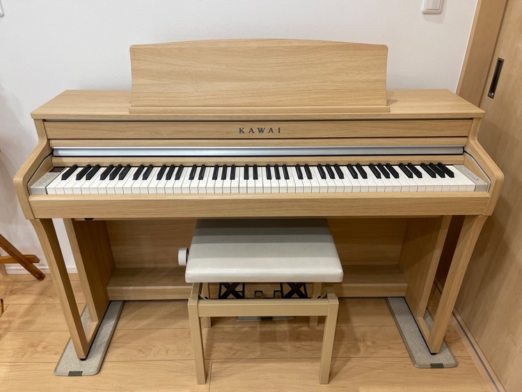 CA49LO（ピアノ・楽器・PA機材）の商品画像 - 査定依頼日：2025年11月9日 - 最高査定価格：10,000円