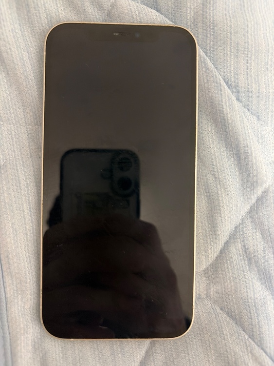 iPhone iPhone 12 64GB SIMフリー（スマホ）の商品画像 - 査定依頼日：2026年7月27日 - 最高査定価格：25,000円