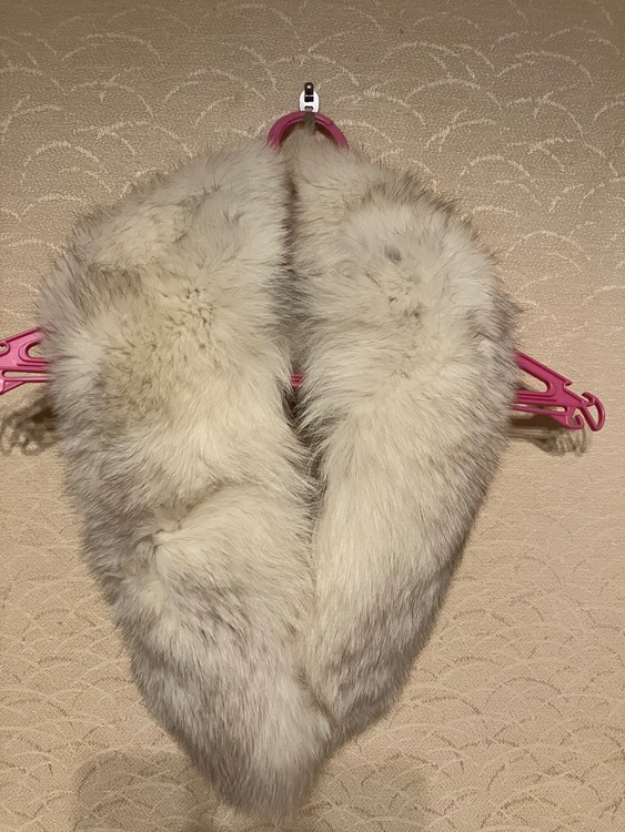 フォックスショール（美術品・骨董品）の商品画像 - 査定依頼日：2025年10月26日 - 最高査定価格：2,000円