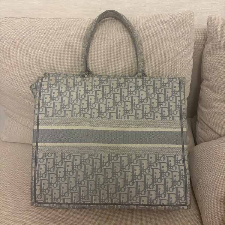 Christian Dior（ブランドバッグ）の商品画像 - 査定依頼日：2026年8月8日 - 最高査定価格：80,000円