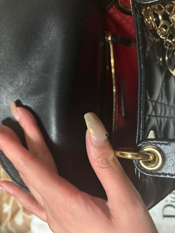 レディディオール（ブランド財布・小物）の商品画像 - 査定依頼日：2025年3月29日 - 最高査定価格：150,000円