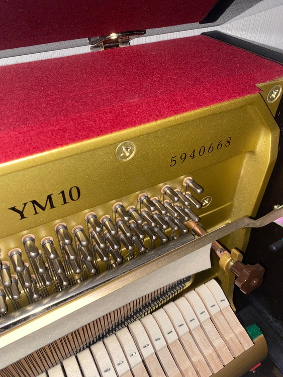 YM10（ピアノ・楽器・PA機材）の商品画像 - 査定依頼日：2026年7月28日 - 最高査定価格：10,000円