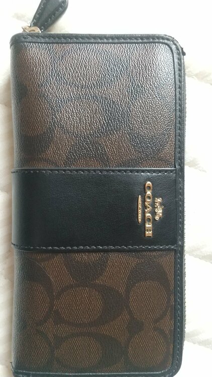 その他 コーチ （ブランドバッグ）の商品画像 - 査定依頼日：2026年3月27日 - 最高査定価格：1,500円