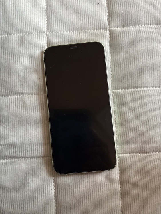 iPhone iPhone 12 64GB SIMフリー（スマホ）の商品画像 - 査定依頼日：2026年6月18日 - 最高査定価格：25,000円