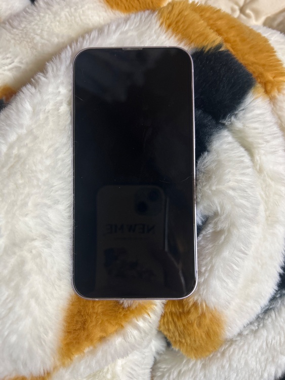 iPhone 14 128GB docomo（スマホ）の商品画像 - 査定依頼日：2026年5月6日 - 最高査定価格：45,000円