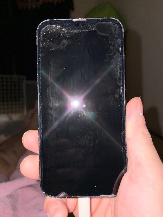 iPhone 13 256GB au（スマホ）の商品画像 - 査定依頼日：2026年1月19日 - 最高査定価格：22,000円