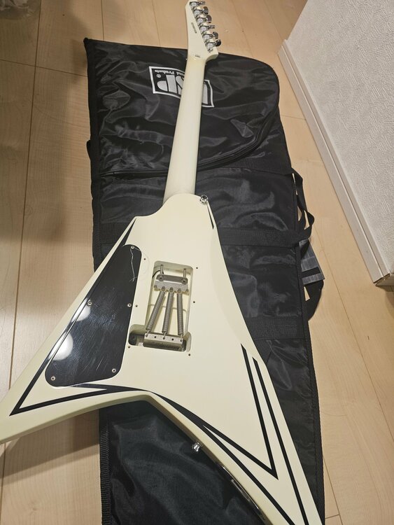 E-ALEXI SCYTHE アレキシ・ライホ シグネイチャー サイス エレキギ（ピアノ・楽器・PA機材）の商品画像 - 査定依頼日：2026年8月12日 - 最高査定価格：55,000円