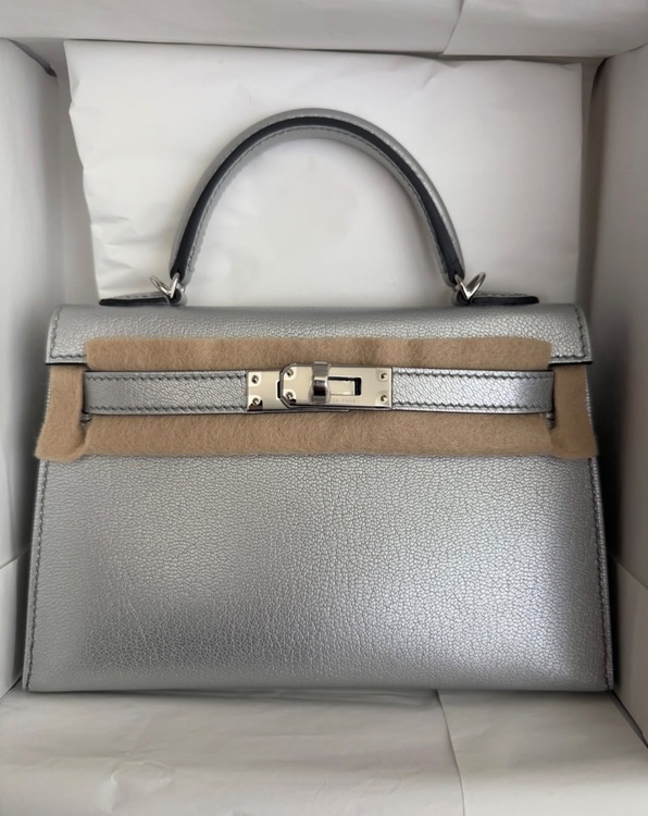 ミニケリー アルジャン シルバー金具（ブランドバッグ）の商品画像 - 査定依頼日：2025年11月18日 - 最高査定価格：4,500,000円