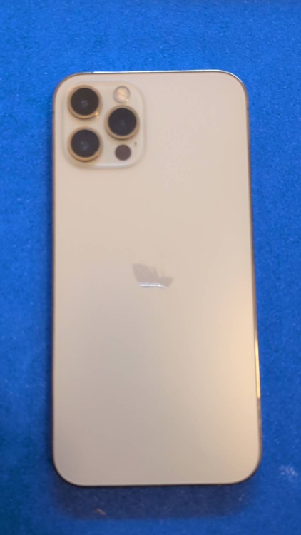 iPhone iPhone 12 Pro 256GB 楽天モバイル（スマホ）の商品画像 - 査定依頼日：2026年9月21日 - 最高査定価格：29,000円