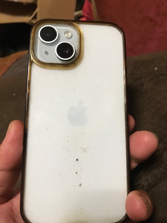iPhone iPhone 15 256GB Softbank（スマホ）の商品画像 - 査定依頼日：2026年9月20日 - 最高査定価格：75,000円