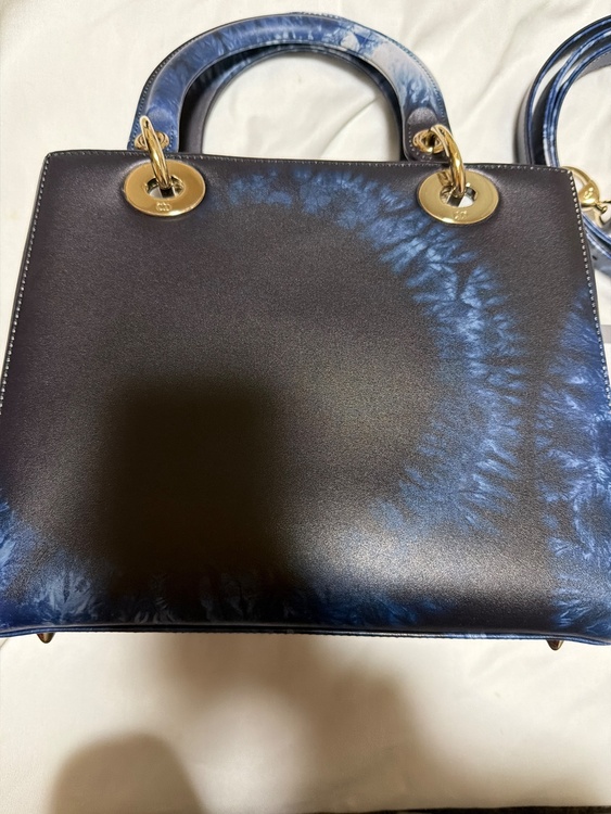 レディディオール（ブランドバッグ）の商品画像 - 査定依頼日：2026年3月19日 - 最高査定価格：250,000円