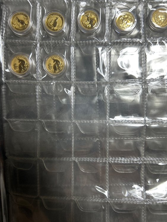 カンガルー金貨　1/10オンス（金・貴金属）の商品画像 - 査定依頼日：2025年12月8日 - 最高査定価格：2,588,000円