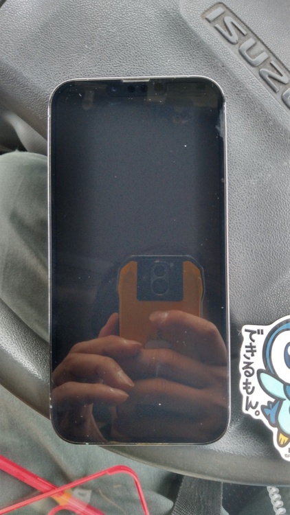 iPhone 13 Pro Max 256GB Softbank（スマホ）の商品画像 - 査定依頼日：2026年3月28日 - 最高査定価格：61,000円