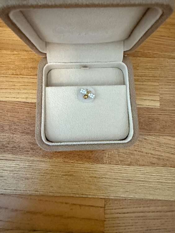 ギメル　ブローチ（宝石）の商品画像 - 査定依頼日：2025年5月2日 - 最高査定価格：122,000円