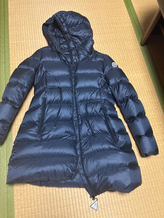 ダウン（古着・ファッション）の商品画像 - 査定依頼日：2025年11月25日 - 最高査定価格：100,000円