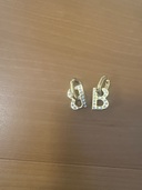 ピアス（ブランド財布・小物）の商品画像 - 査定依頼日：2025年11月19日 - 最高査定価格：34,000円