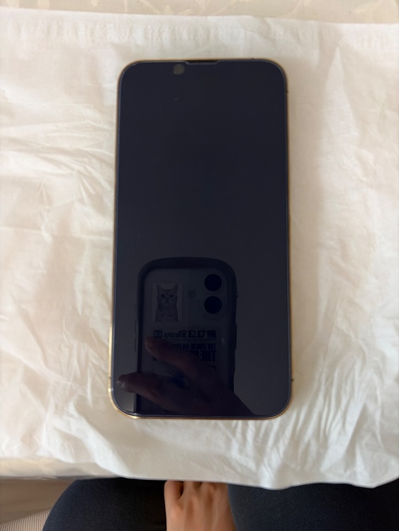 iPhone iPhone 13 Pro 256GB au（スマホ）の商品画像 - 査定依頼日：2026年8月22日 - 最高査定価格：53,000円