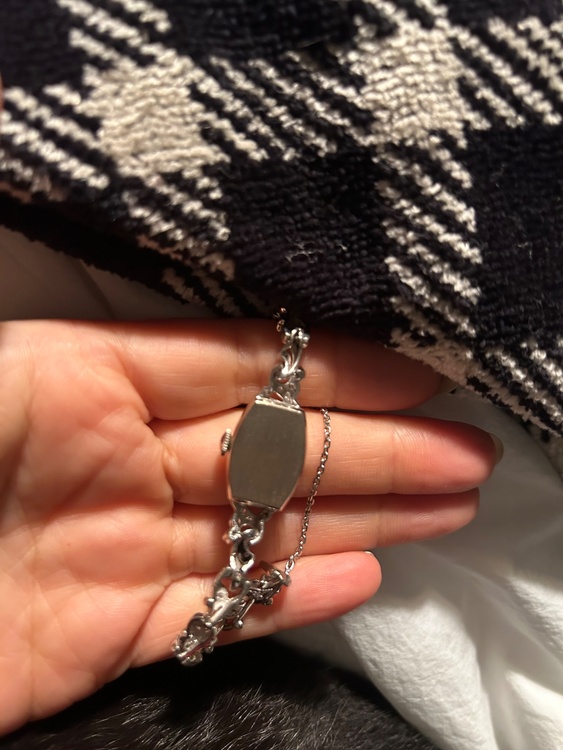 その他 その他 （高級時計）の商品画像 - 査定依頼日：2025年12月24日 - 最高査定価格：220,000円