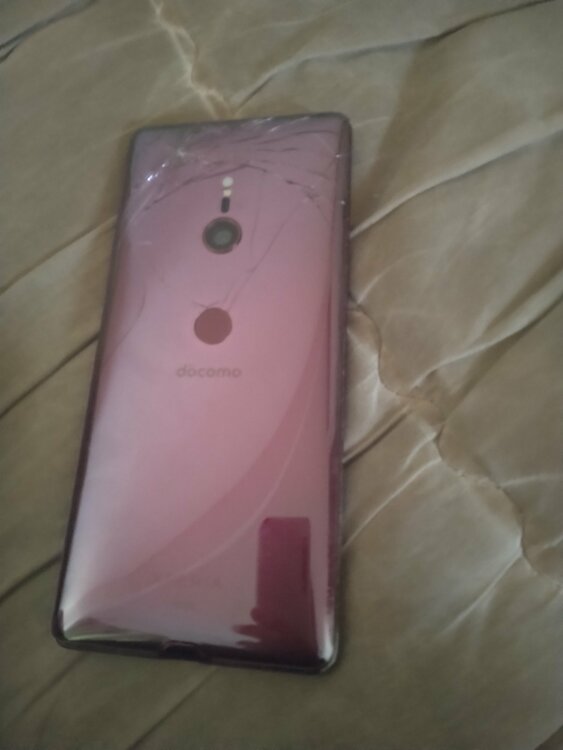 Xperia Xperia XZ3シリーズ 【docomo】Xperia XZ3 SO-01L（スマホ）の商品画像 - 査定依頼日：2026年8月31日 - 最高査定価格：100,000円