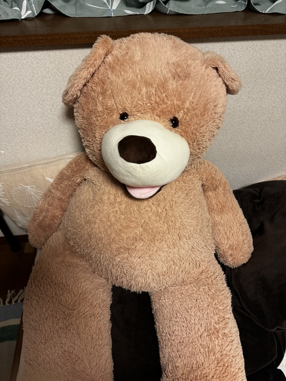 大のクマのぬいぐるみ（その他のおもちゃ）の商品画像 - 査定依頼日：2025年1月15日 - 最高査定価格：500円