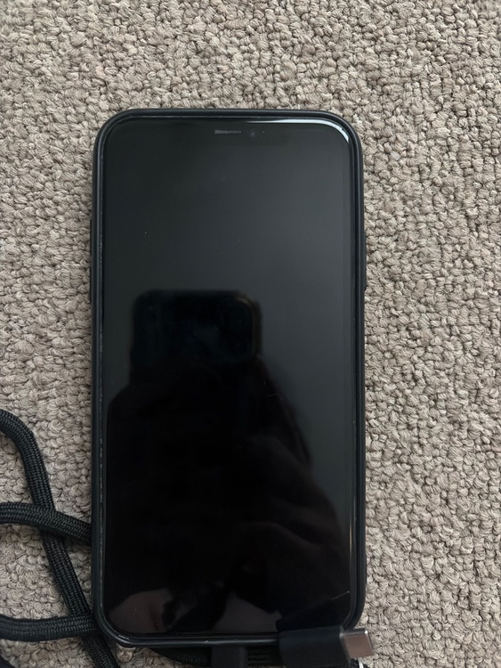 iPhone iPhone11 64GB docomo（スマホ）の商品画像 - 査定依頼日：2026年9月16日 - 最高査定価格：17,500円