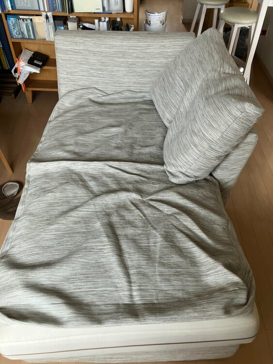カウチソファ（家具・寝具）の商品画像 - 査定依頼日：2026年5月24日 - 最高査定価格：3,000円