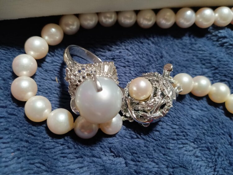 月島真珠（宝石）の商品画像 - 査定依頼日：2026年2月11日 - 最高査定価格：50,000円