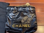 22 ミニ（ブランドバッグ）の商品画像 - 査定依頼日：2026年2月9日 - 最高査定価格：520,000円