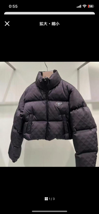 プラダ  （ブランドバッグ）の商品画像 - 査定依頼日：2025年10月28日 - 最高査定価格：155,000円