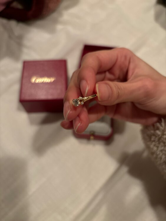 カルティエ　バレリーナ（宝石）の商品画像 - 査定依頼日：2025年1月4日 - 最高査定価格：100,000円