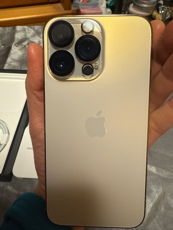iPhone 13 Pro 512GB docomo（スマホ）の商品画像 - 査定依頼日：2026年4月4日 - 最高査定価格：51,000円
