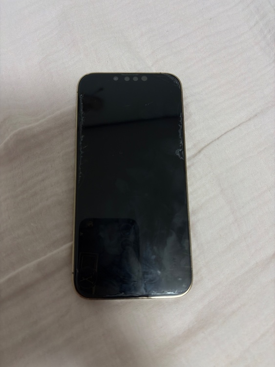 iPhone iPhone 13 Pro 256GB SIMフリー（スマホ）の商品画像 - 査定依頼日：2026年9月18日 - 最高査定価格：48,500円
