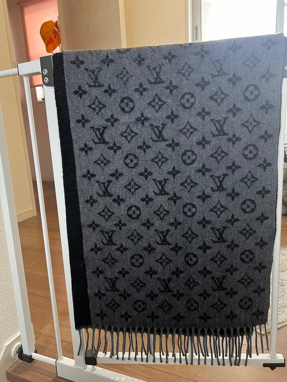 マフラー･モノグラム グラディエント（ブランド財布・小物）の商品画像 - 査定依頼日：2025年2月2日 - 最高査定価格：10,000円