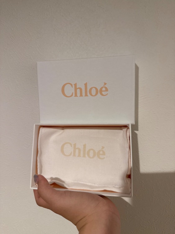 その他 クロエ （ブランドバッグ）の商品画像 - 査定依頼日：2025年8月5日 - 最高査定価格：15,000円