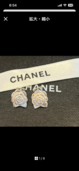 CHANEL シャネル SV925 銀　カメリア フラワー　ピアス（金・貴金属）の商品画像 - 査定依頼日：2026年4月10日 - 最高査定価格：20,000円