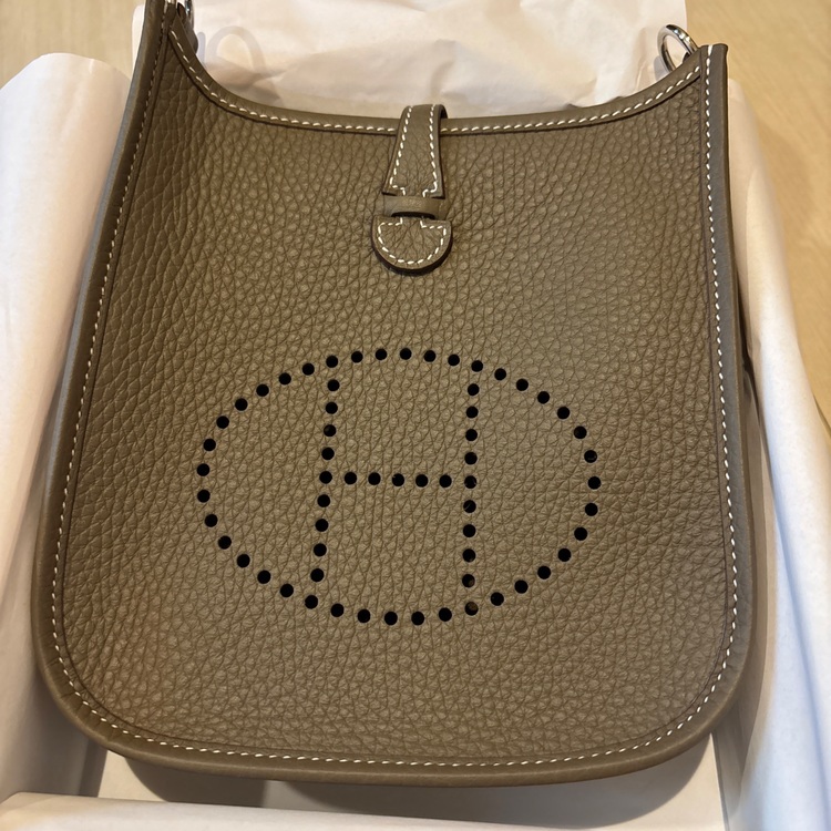 エブリンアマゾーヌtpm16 エトゥープ（ブランドバッグ）の商品画像 - 査定依頼日：2025年7月19日 - 最高査定価格：370,000円