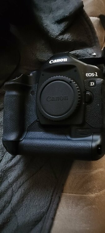 EOS1Dmark2（カメラ）の商品画像 - 査定依頼日：2026年4月24日 - 最高査定価格：13,000円