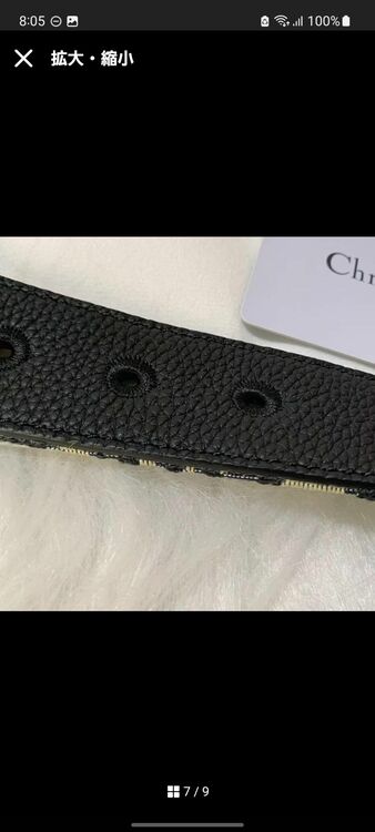 ディオール  （ブランドバッグ）の商品画像 - 査定依頼日：2025年9月18日 - 最高査定価格：45,000円