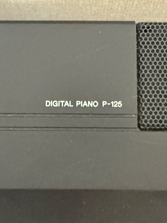 P-125 ブラック　18年製（ピアノ・楽器・PA機材）の商品画像 - 査定依頼日：2026年1月29日 - 最高査定価格：5,000円