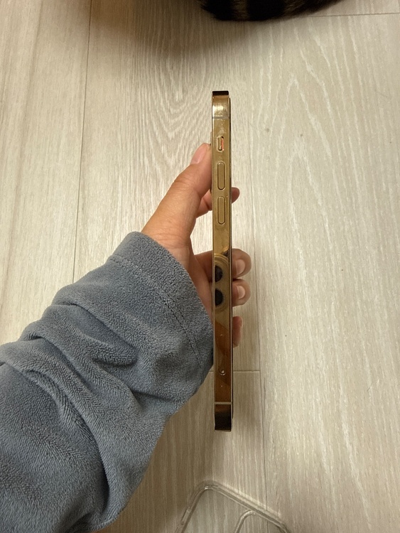 iPhone 12 Pro 256GB docomo（スマホ）の商品画像 - 査定依頼日：2026年4月5日 - 最高査定価格：31,000円