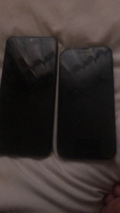 アイホン14（スマホ）の商品画像 - 査定依頼日：2025年11月6日 - 最高査定価格：44,000円