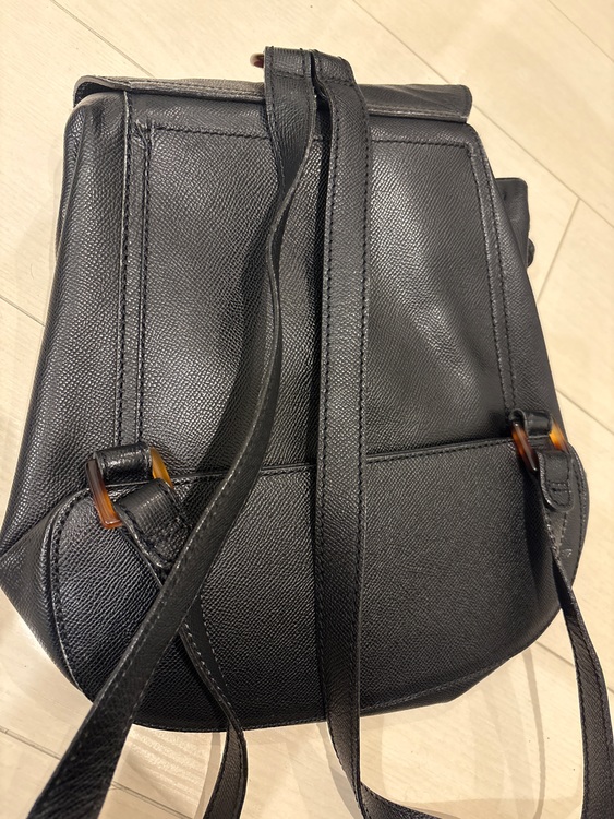 リュック（ブランドバッグ）の商品画像 - 査定依頼日：2025年8月29日 - 最高査定価格：230,000円