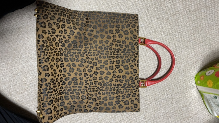 FENDIレオパードヒョウ柄ハンドバック（ブランドバッグ）の商品画像 - 査定依頼日：2026年7月23日 - 最高査定価格：20,000円