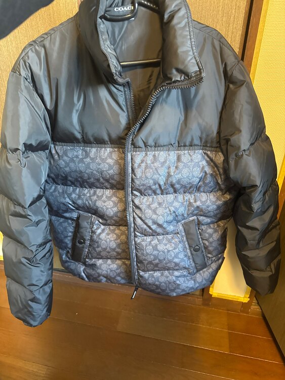 その他 コーチ （ブランドバッグ）の商品画像 - 査定依頼日：2025年2月20日 - 最高査定価格：10,000円