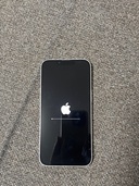 iPhone 13 256GB SIMフリー（スマホ）の商品画像 - 査定依頼日：2026年3月26日 - 最高査定価格：39,000円