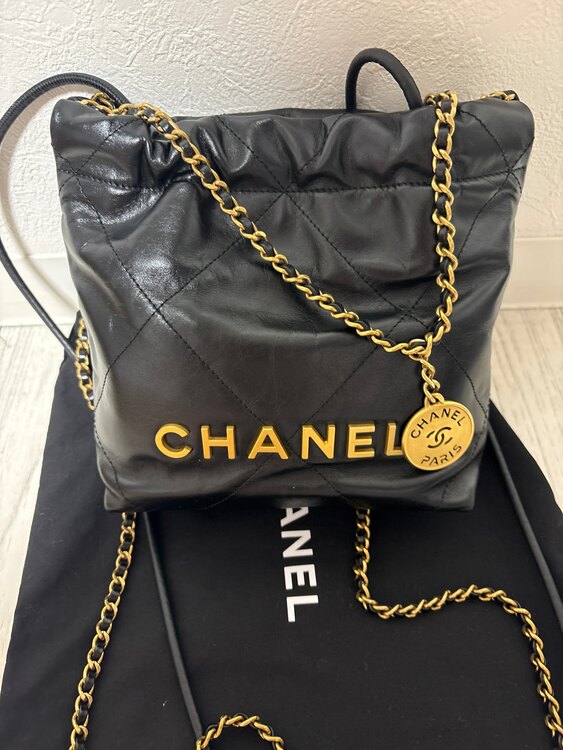 22ミニ（ブランドバッグ）の商品画像 - 査定依頼日：2025年2月14日 - 最高査定価格：590,000円