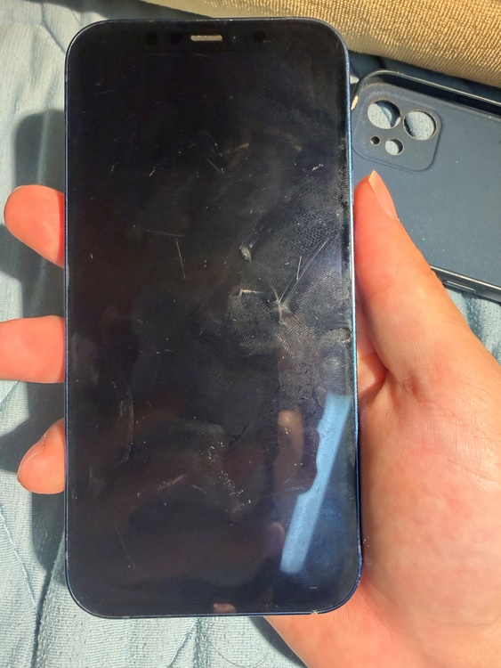 iPhone iPhone 12 64GB 楽天モバイル（スマホ）の商品画像 - 査定依頼日：2026年9月1日 - 最高査定価格：18,000円