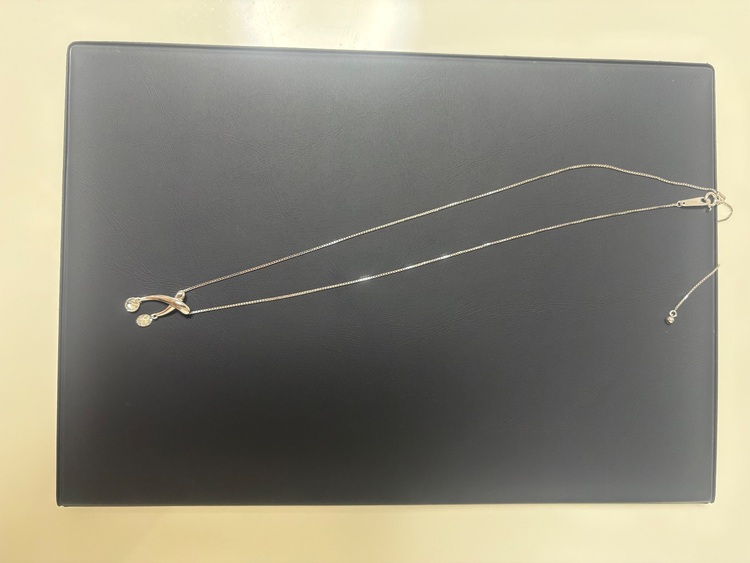 ネックレス（宝石）の商品画像 - 査定依頼日：2025年9月27日 - 最高査定価格：100,000円